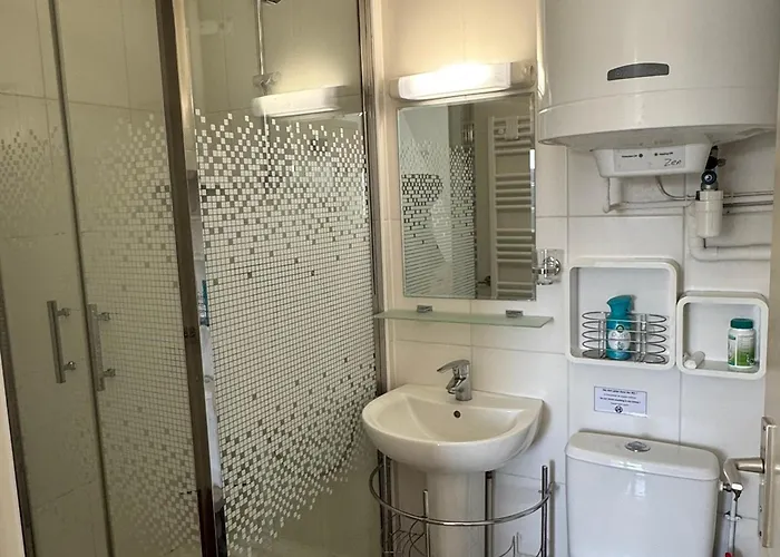 2 Pièces Accès Direct Plage, Animaux Acceptés, Wifi - Fr-1-487-378 Appartamento *