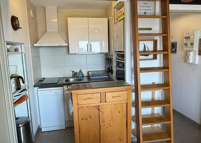 Appartamento 2 Pièces Accès Direct Plage, Animaux Acceptés, Wifi - Fr-1-487-378 *