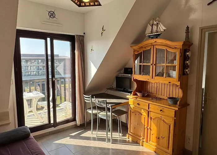 2 Pièces Accès Direct Plage, Animaux Acceptés, Wifi - Fr-1-487-378