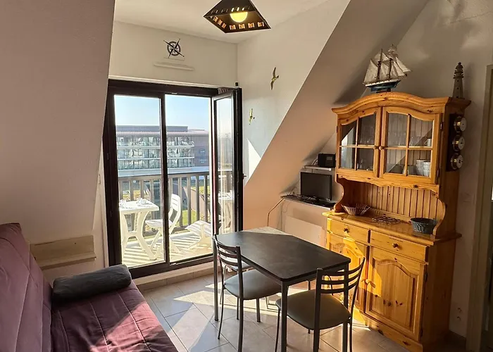 2 Pièces Accès Direct Plage, Animaux Acceptés, Wifi - Fr-1-487-378 *