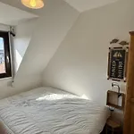 2 Pieces Acces Direct Plage, Animaux Acceptes, Wifi - Fr-1-487-378 Cabourg