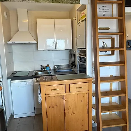 Διαμέρισμα 2 Pieces Acces Direct Plage, Animaux Acceptes, Wifi - Fr-1-487-378 *