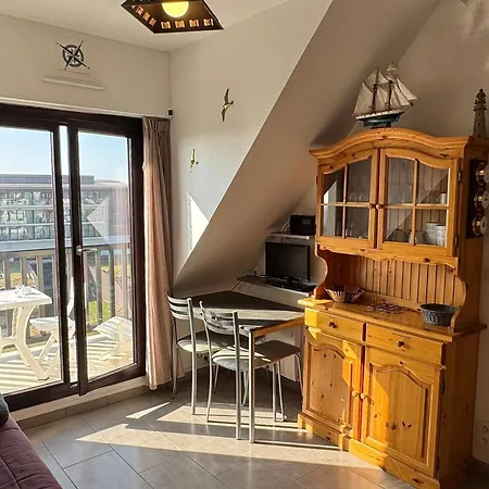 2 Pieces Acces Direct Plage, Animaux Acceptes, Wifi - Fr-1-487-378