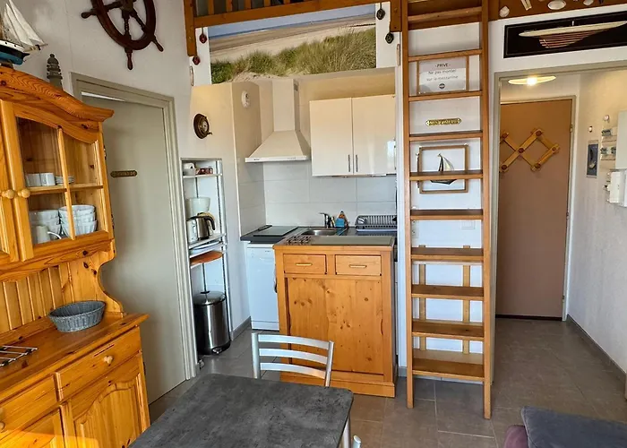 2 Pieces Acces Direct Plage, Animaux Acceptes, Wifi - Fr-1-487-378 아파트 꺄부흐