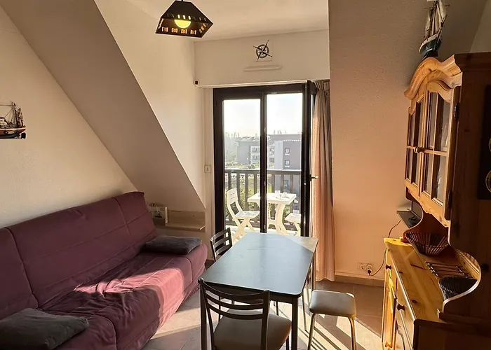 아파트 2 Pieces Acces Direct Plage, Animaux Acceptes, Wifi - Fr-1-487-378 *