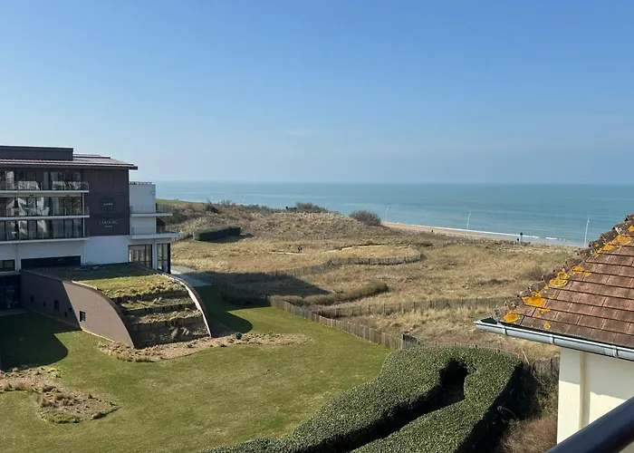 아파트 2 Pieces Acces Direct Plage, Animaux Acceptes, Wifi - Fr-1-487-378